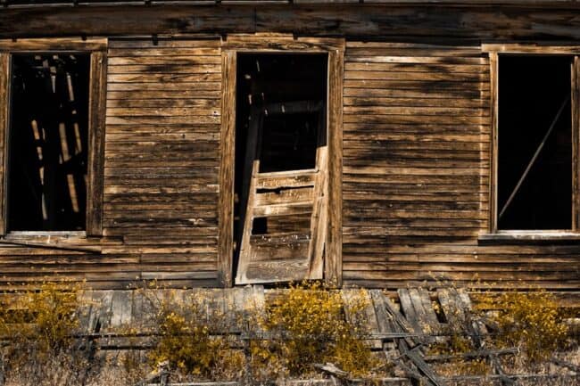 Weathered wood building facade with a broken door and windows surrounded by yellow wildflowers