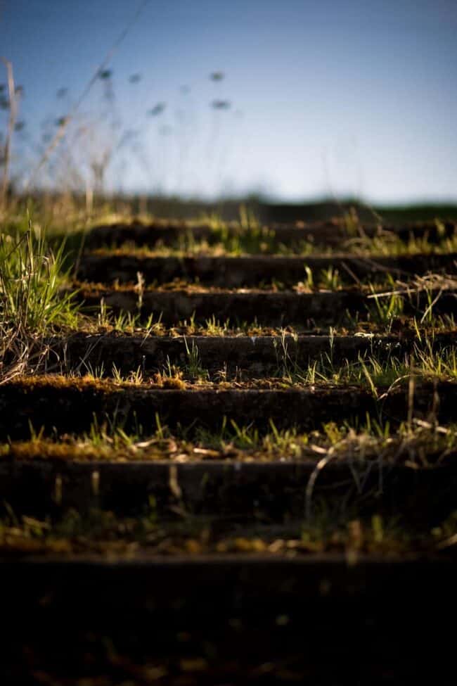 Close-up of mossy stone steps leading upward into a bright sky, shallow depth of field