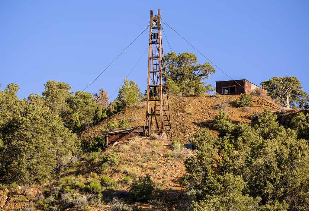 Old wooden mine tram tower on a hillside surrounded by trees