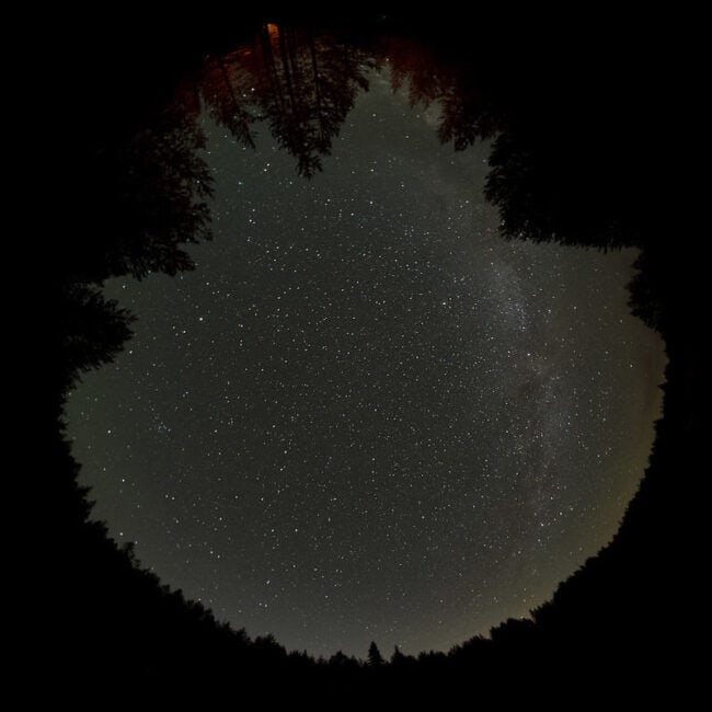Fisheye view of the starry night sky and Milky Way framed by silhouetted trees