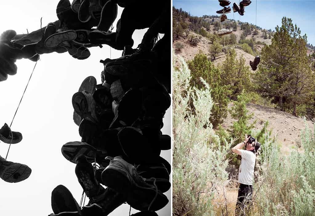 Split image of shoes hanging from tree branches and a photographer shooting a shoe tree in a desert landscape