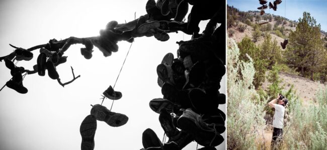 Split image of shoes hanging from tree branches and a photographer shooting a shoe tree in a desert landscape