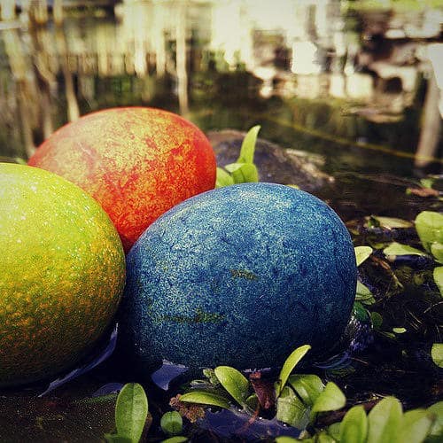 Three colorful glass orbs, orange, blue, and yellow, resting among lily pads in a pond