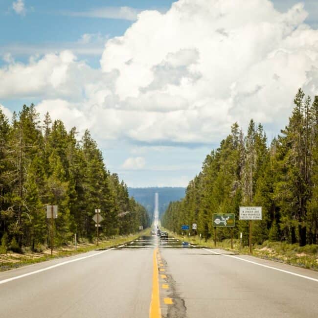 An empty highway stretching toward a distant misty mountain, flanked by dense pine forest under a cloudy sky