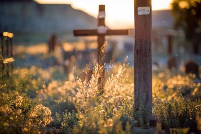 A weathered wooden cross grave marker backlit by golden sunset light amid tall grass in an old cemetery