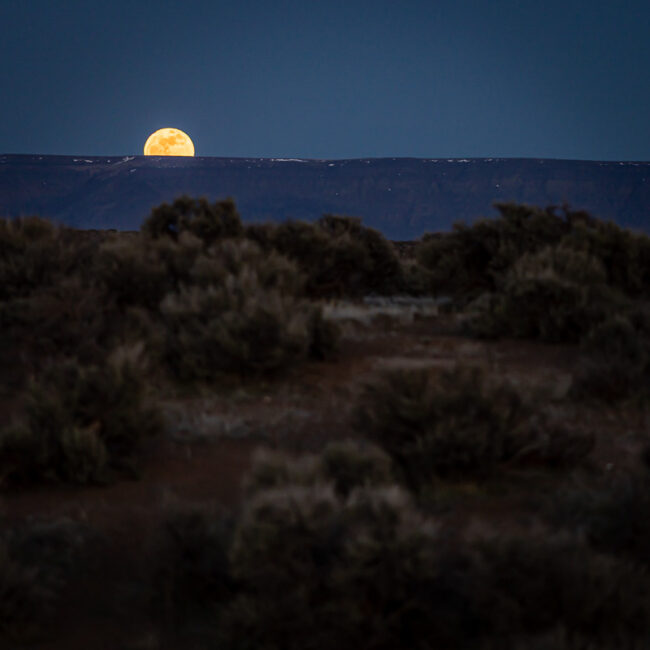 A full moon rising over a dark desert mountain ridge at dusk, with sagebrush in the foreground