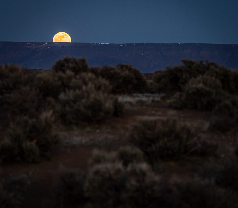 A full moon rising over a dark desert mountain ridge at dusk, with sagebrush in the foreground